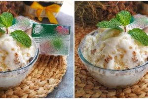 Cara membuat es krim santan ala rumahan, sederhana dan mudah dibuat