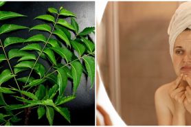 11 Manfaat daun neem untuk kecantikan, wajah bebas jerawat