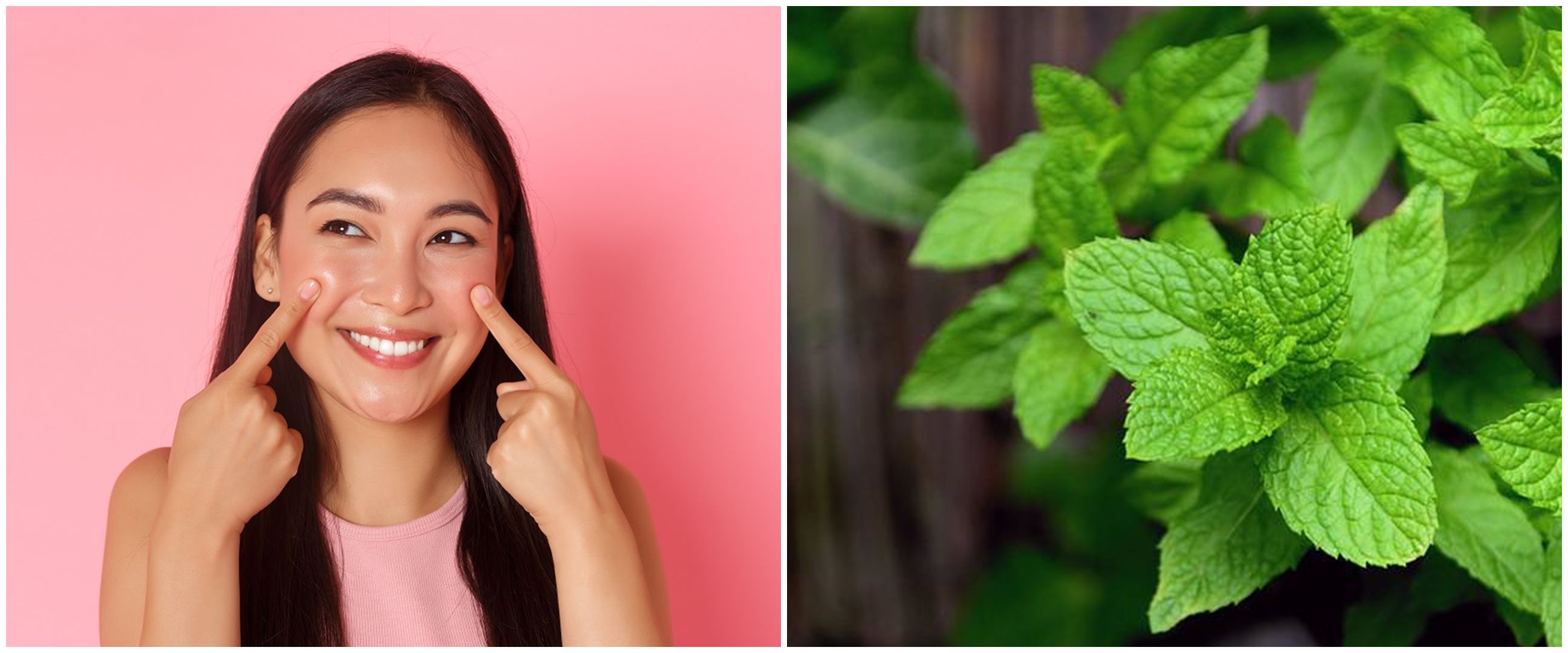 10 Manfaat daun mint untuk kecantikan, bantu lembapkan kulit