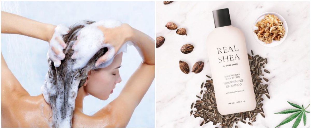 11 Rekomendasi sampo untuk rambut kering, harga mulai Rp 20 ribuan