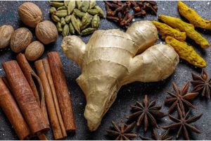 Eksplorasi keunikan kuliner Indonesia lewat Indikasi Geografis 'IGIS'