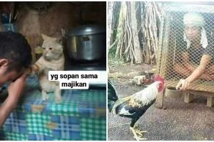 11 Potret kalau majikan dan hewan peliharaan tukar peran ini kocak
