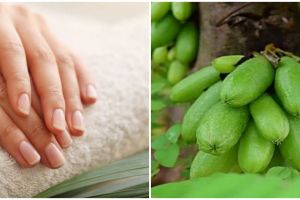 10 Cara merawat kuku tampak berkilau & sehat, pakai belimbing wuluh