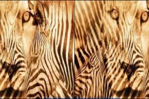 Hewan yang pertama kamu lihat ungkap apakah kamu mandiri atau manja