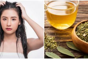 9 Cara mengatasi rambut lepek secara alami, gunakan teh hijau