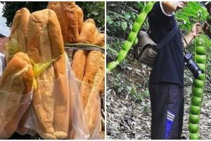 11 Potret lucu makanan ukurannya nggak biasa, bikin lihat dua kali