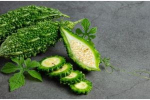 Sering dihindari, 10 makanan pahit ini ternyata bisa tingkatkan imun