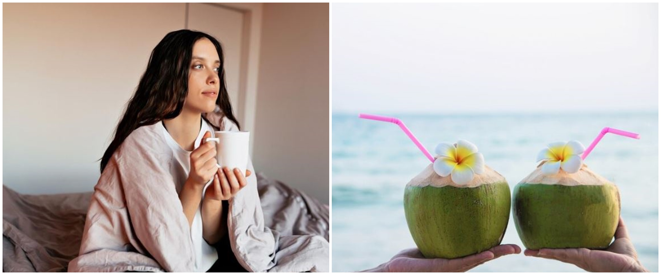 7 Arti mimpi tentang buah kelapa, menggambarkan energi positif