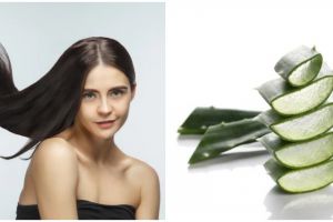 9 Cara membuat hair mask dengan lidah buaya, rambut sehat berkilau