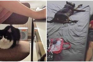 13 Momen lucu terpaksa mengalah ini alasannya ada-ada aja