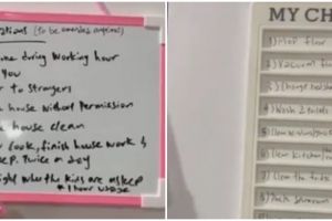 Majikan ini tulis 12 aturan untuk ART, pakai HP maksimal 1 jam