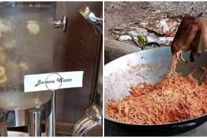 11 Potret nyeleneh hidangan disajikan untuk tamu, ada aja bentuknya