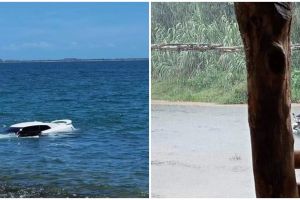 11 Momen lucu benda masuk air, ada-ada aja penampakannya