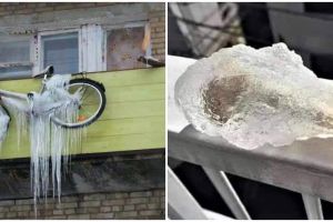 11 Potret lucu benda membeku, bikin lihat dua kali