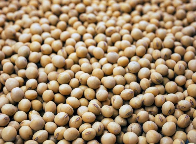 10 Pola makan Nella Kharisma pasca melahirkan, tubuh kembali langsing