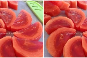 Resep puding pepaya, enak, bergizi, dan mudah dibuat