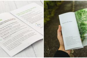 Leaflet adalah media promosi langsung, ini kelebihan dan kekurangannya