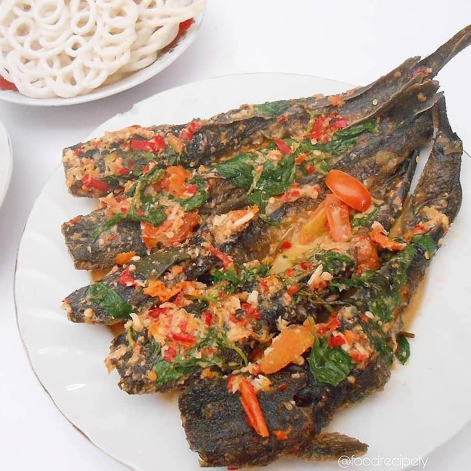 13 Resep olahan ikan lele bersantan, nikmat, sederhana, & mudah dibuat