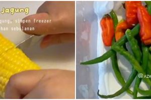 6 Trik menyimpan bahan makanan buat anak kos, simpel dan antibusuk