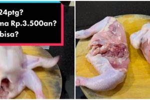 Bongkar rahasia jualan fried chicken Rp 3.500-an, untung tetap banyak