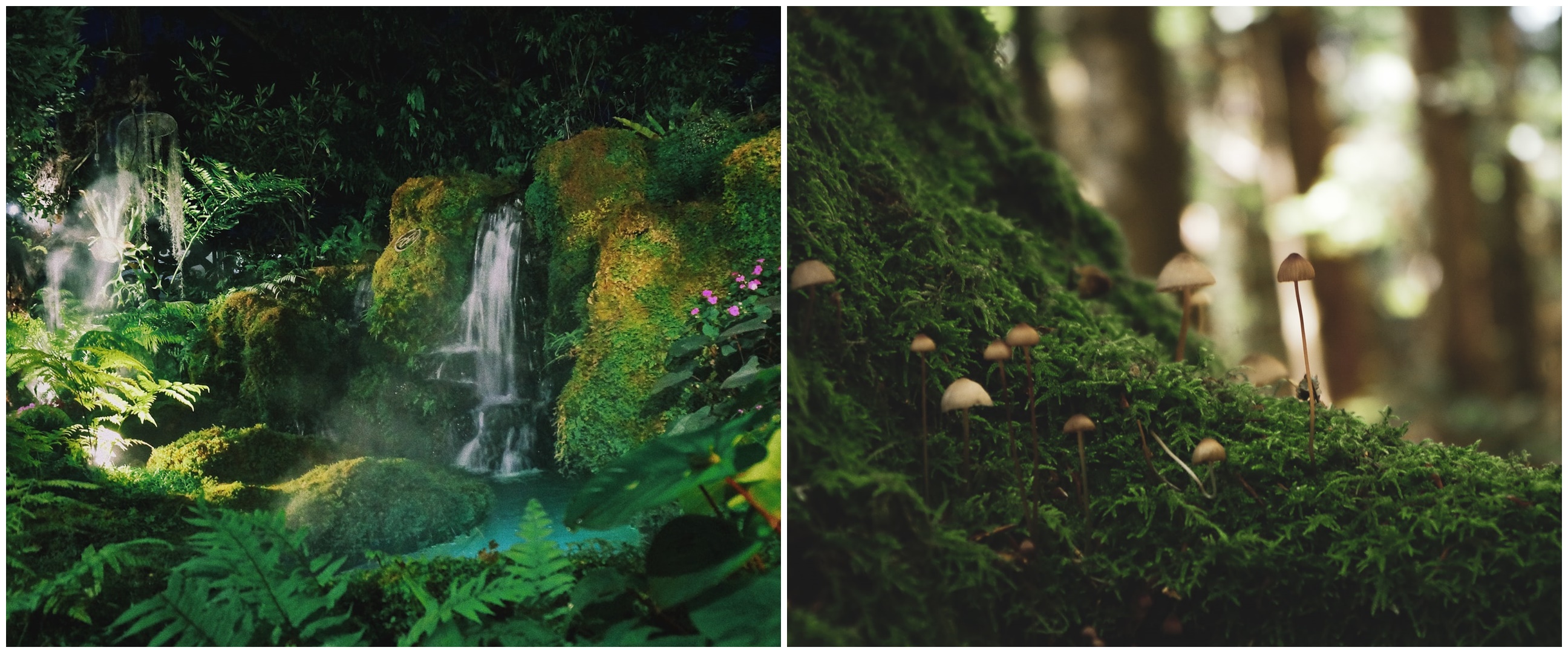 Ekosistem adalah sebuah sistem ekologi, pahami komponen dan jenisnya