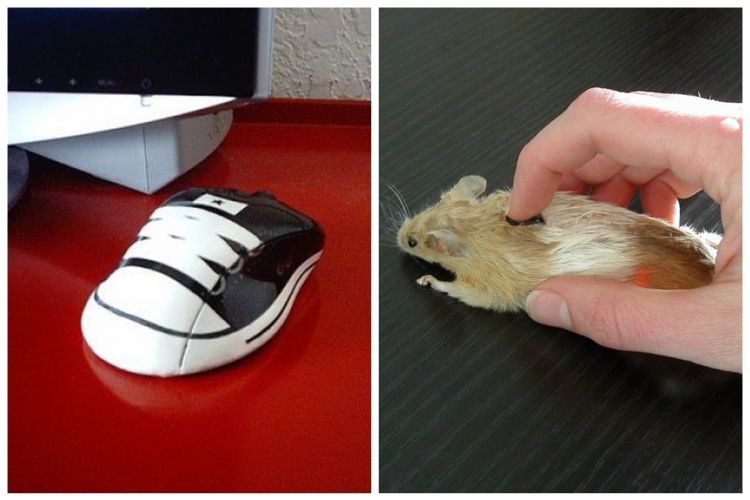 15 Penampakan mouse dengan desain nggak biasa, bikin geleng kepala