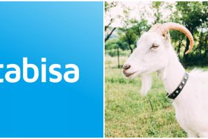 5 Cara kurban online lewat Kitabisa, praktis dan antiribet 