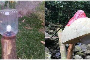 11 Ide kreatif orang bikin lampu taman ini bikin geleng kepala