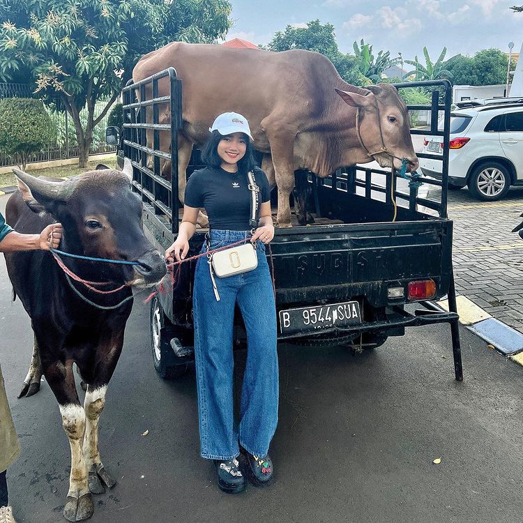 Beli 2 sapi, Fuji turut berkurban untuk mendiang Vanessa Angel & Bibi