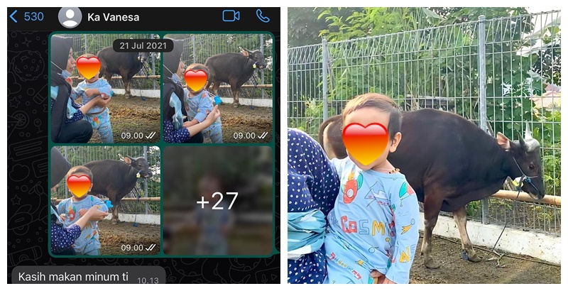 Beli 2 sapi, Fuji turut berkurban untuk mendiang Vanessa Angel & Bibi