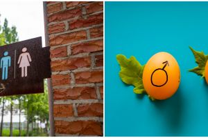 Gender adalah pembedaan perempuan dan laki-laki, ketahui perannya