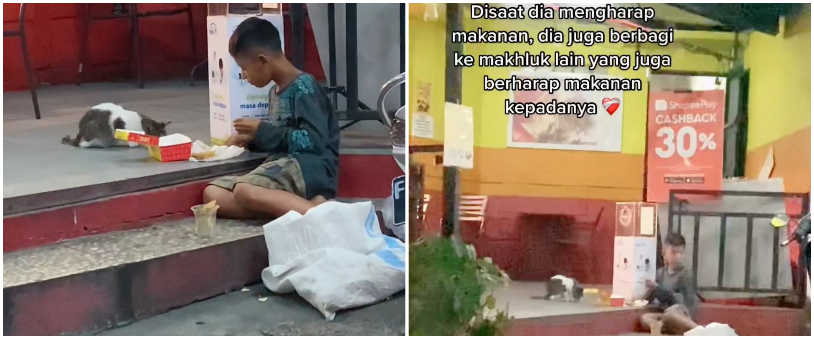 Bocah pemulung ini berbagi makanan dengan kucing liar, bikin haru