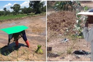 11 Potret nyeleneh menghindari panas ini ada-ada aja caranya