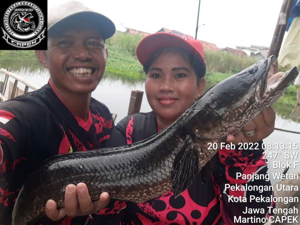 Pasutri ini bagikan ikan gratis pada orang sakit, kisahnya bikin haru