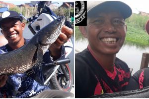 Pasutri ini bagikan ikan gratis pada orang sakit, kisahnya bikin haru