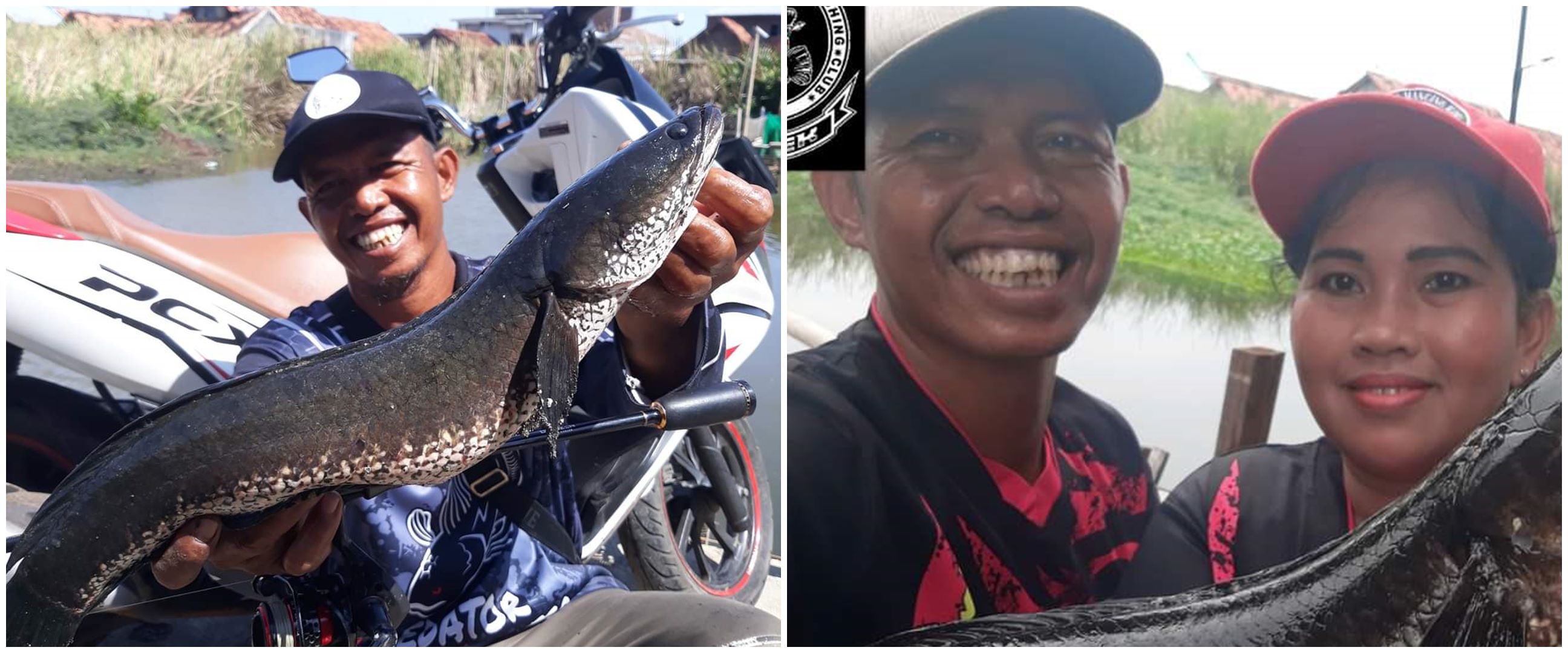 Pasutri ini bagikan ikan gratis pada orang sakit, kisahnya bikin haru