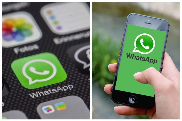 8 Langkah mudah WhatsApp tidak simpan foto dan video secara otomatis