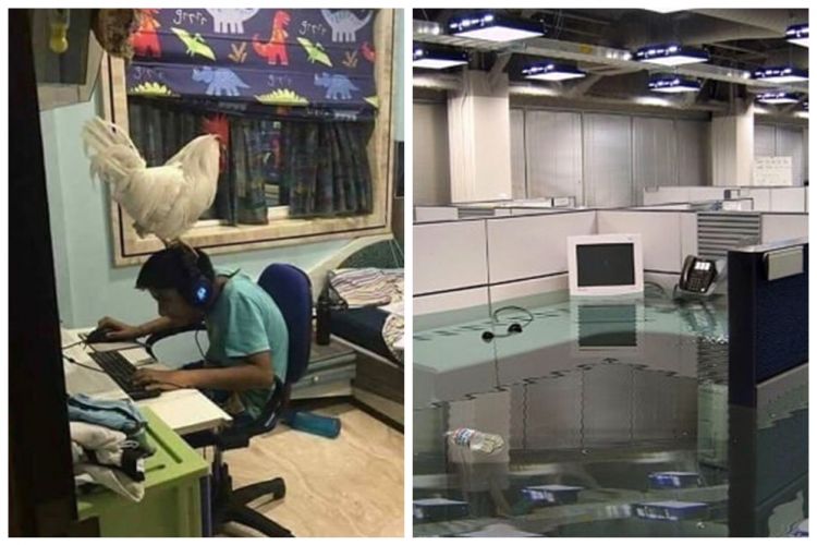 11 Potret gangguan ketika pakai komputer lucunya bikin senyum lebar