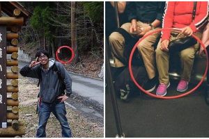 11 Potret nyeleneh lingkaran merah pada gambar ini mengecoh mata