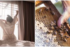 9 Arti mimpi disengat lebah, menggambarkan kondisi perasaan
