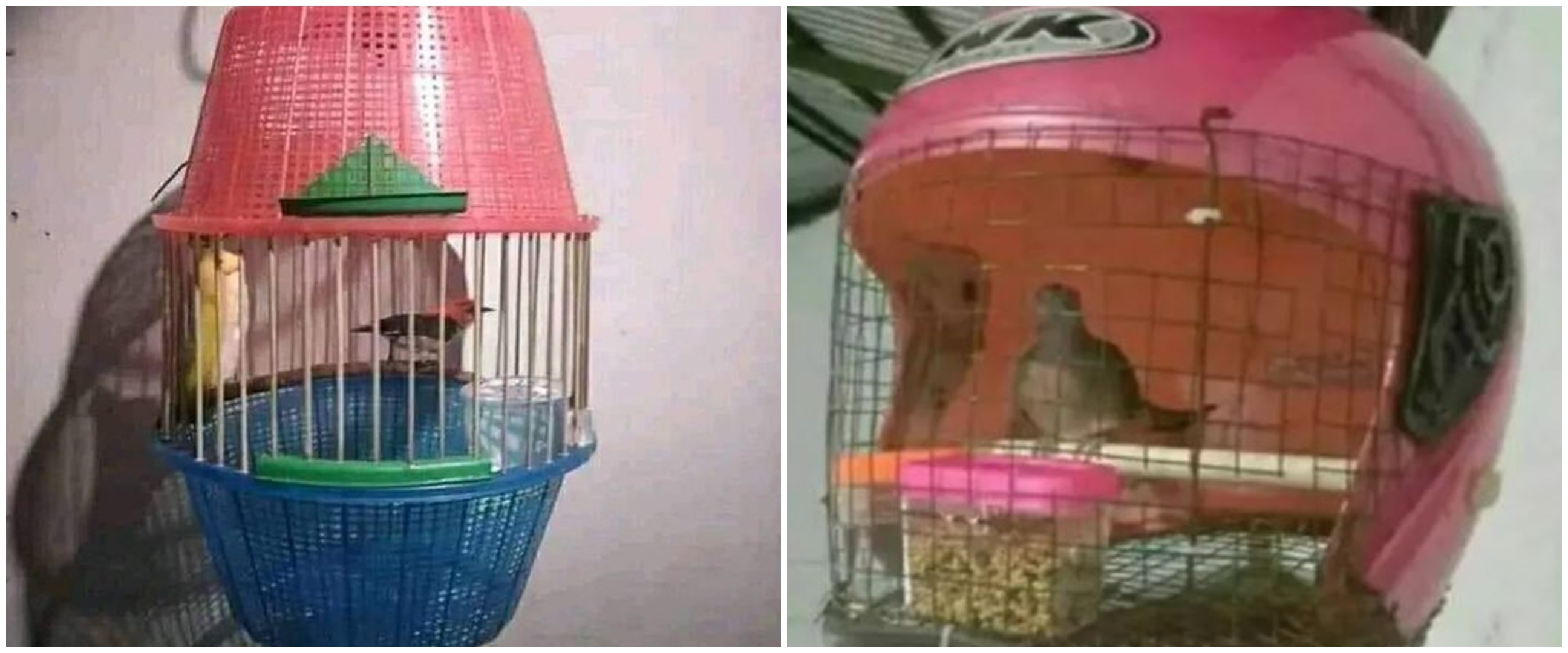 11 Potret lucu asal bikin kandang burung, hasilnya nggak terduga