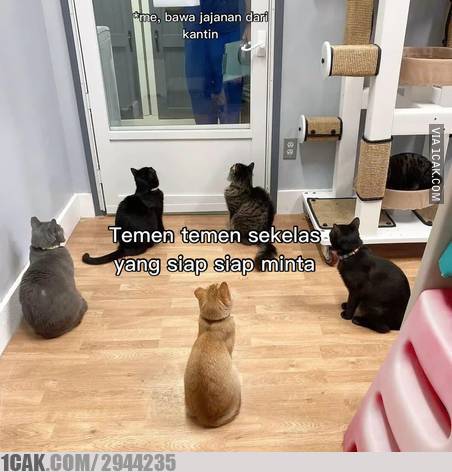 13 Meme kocak kejadian tak terduga di sekolah ini bikin angguk setuju