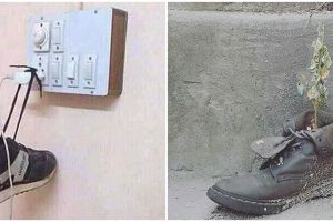 11 Potret lucu memanfaatkan sepatu, alih fungsinya tak terduga