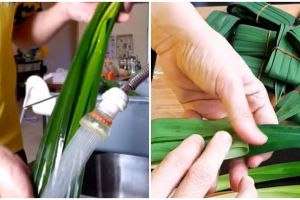 Trik simpel simpan daun pandan agar lebih awet dan tetap segar