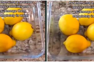Trik mudah simpan lemon ini bisa bikin segar dan awet sampai sebulan