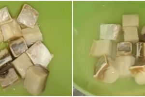Cara ampuh mengurangi rasa asin pada ikan jambal, antigagal