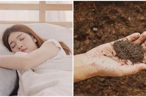 9 Arti mimpi tentang tanah, pertanda kebaikan sekaligus harus waspada