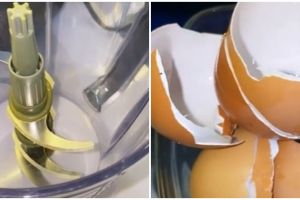 Cara mudah menajamkan pisau blender yang tumpul, cuma butuh satu alat