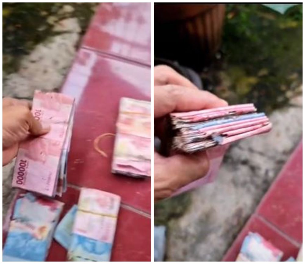 Wanita ini simpan uang kertas di rumah, malah rusak dimakan rayap