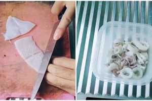 Trik menyimpan cumi ini bikin segarnya tahan lama dan antibau